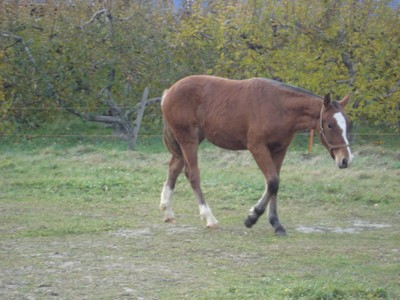 Canelle et Coralie Cora10