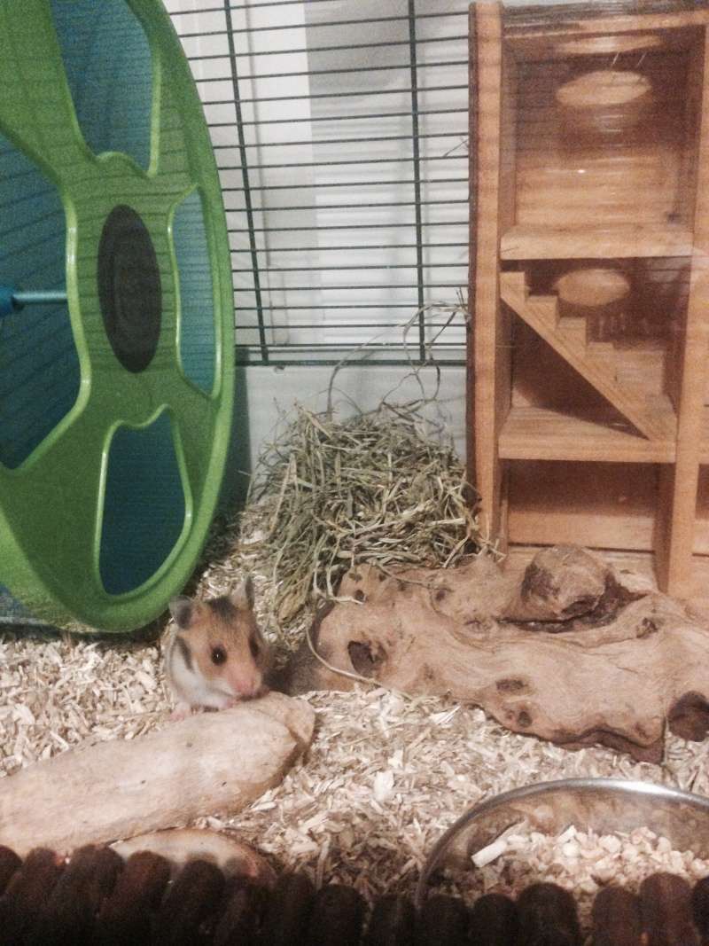 Petite Clémentine une bouille à croquer Clymen11