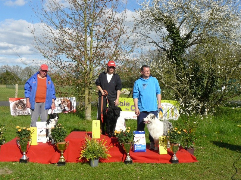 CHAMPIONNAT REGIONAL AGILITY FRENEUSE 12 AVRIL 2015 Podium18