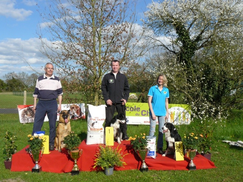 CHAMPIONNAT REGIONAL AGILITY FRENEUSE 12 AVRIL 2015 Podium20