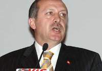 Erdoan snr tesine ''hayr'' dedi ! 8449910