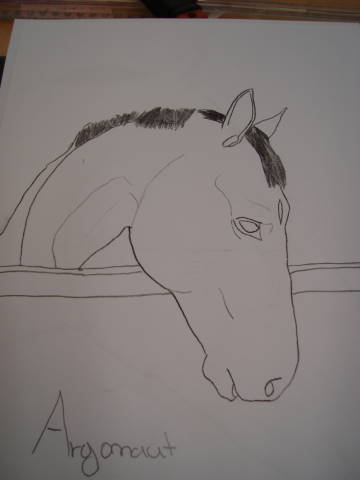 Crtezi konja... Moji_c11