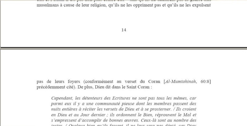 Les musulmans appelent à la paix avec les chrétiens Musulm41