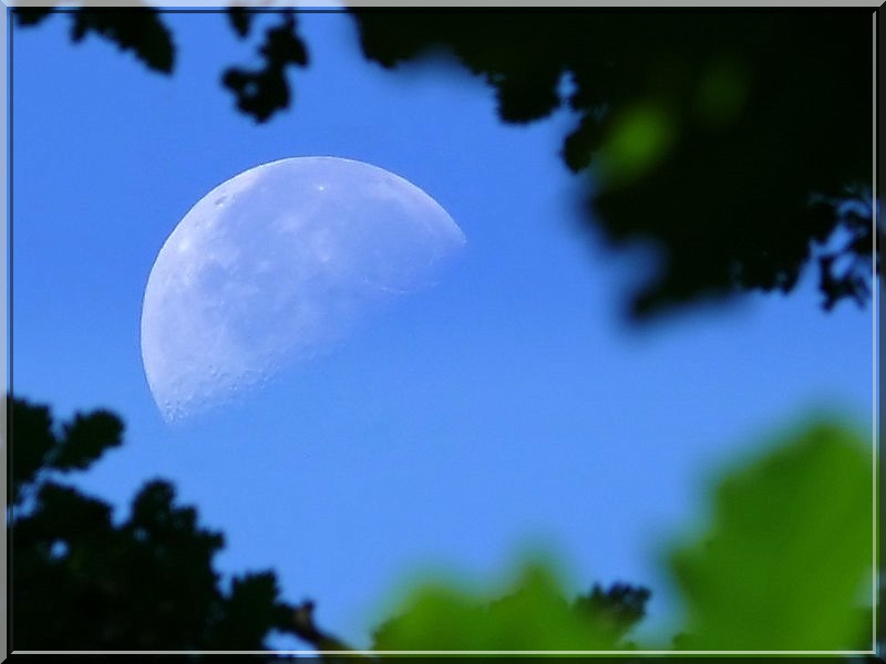 Lune du matin Images16