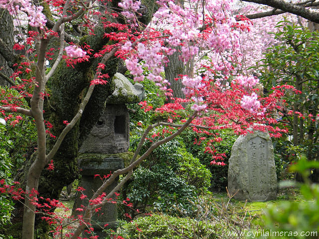 Paysages Japonais Img_1610