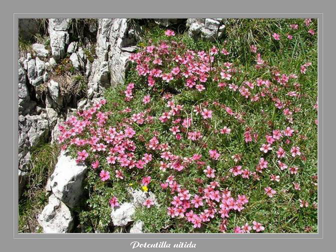 [Italie] Randos Dolomites(suite) Potent12