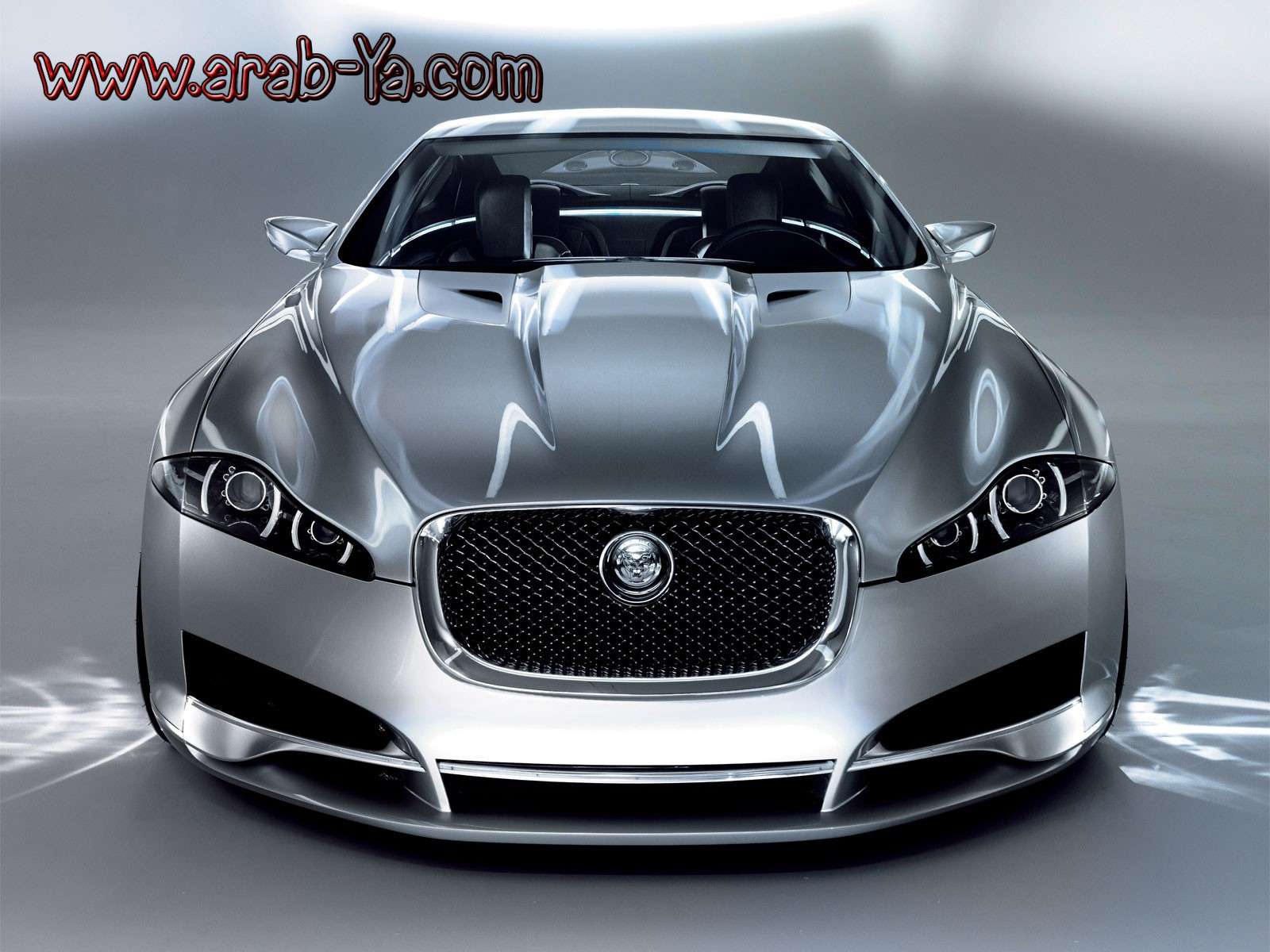  (Jaguar C-XF Concept (2007 Jaguar13