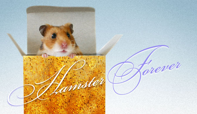 Hamster Forever