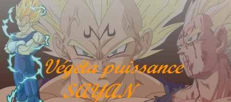 Guigui's production Vegeta13