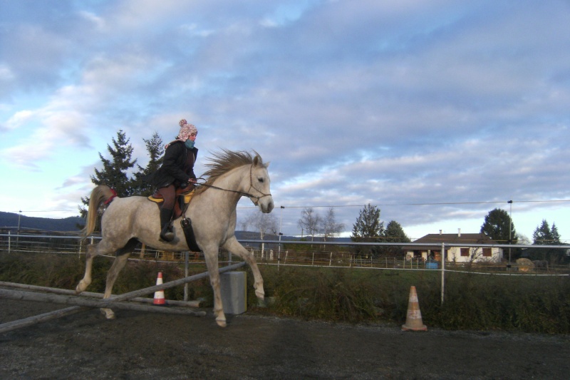 Petite aprem mise en selle pour les blondes !! Dscf8518