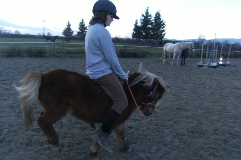 Cours de mise en selle, figure de manège , jeux et autre !! - Page 5 Dscf9010