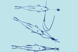 Les techniques:  Pêche au toc Ultra-10