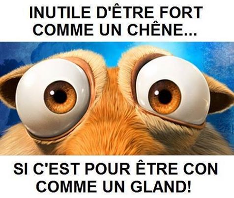 humour - Page 19 11701010