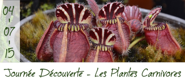 Journée découverte - les Plantes Carnivores Sans_t10