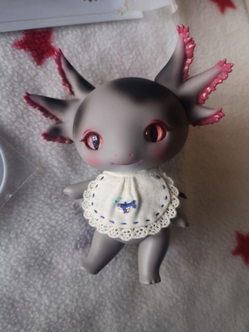 [VDS] pet doll Axolotl Dearmine doll lupy sesame Img_2113