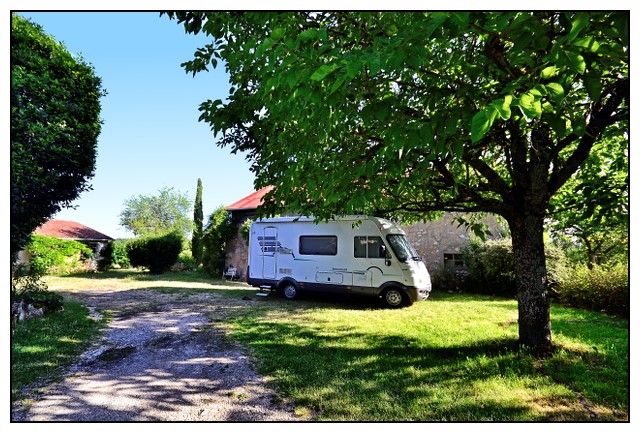 Au domaine de Mallagare (Juin 2015) Flores10