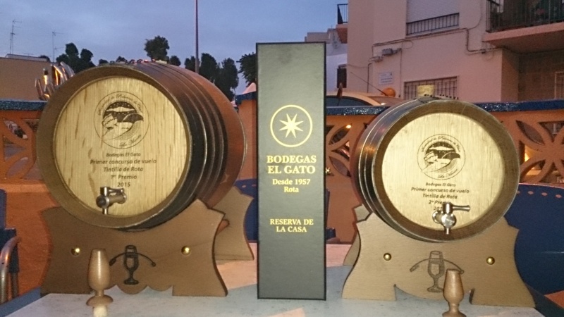 Homenaje a Tobalo y Entrega de Trofeos 1º Concurso de Vuelo "Tintilla de Rota" Dsc_7010