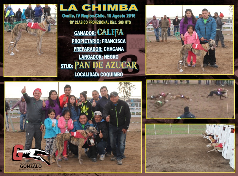 16 DE AGOSTO 2015, GRAN JORNADA DE CLASICOS CANODROMO LA CHIMBA-OVALLE. - Página 2 19-cla11