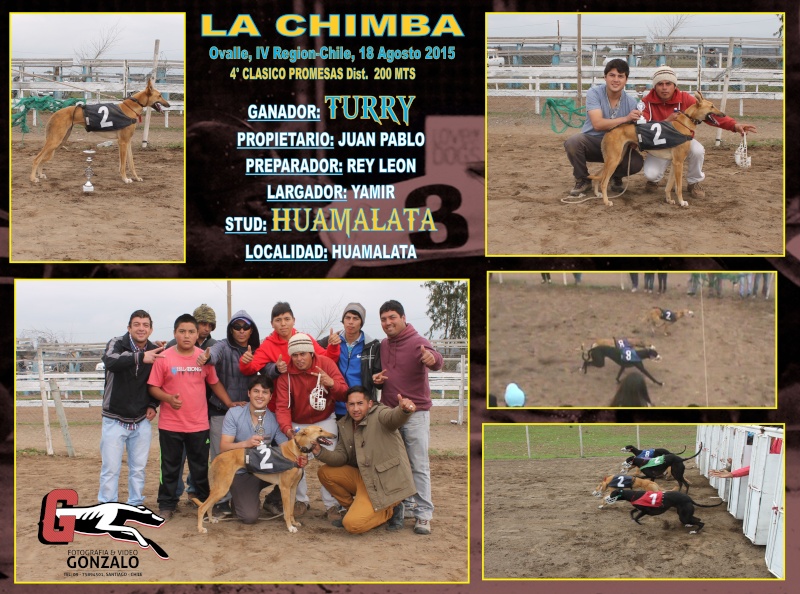 16 DE AGOSTO 2015, GRAN JORNADA DE CLASICOS CANODROMO LA CHIMBA-OVALLE. - Página 2 4-clas14