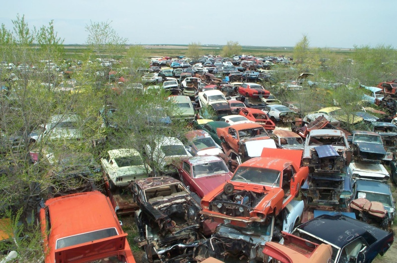 Salvage Yard Dcp_3811