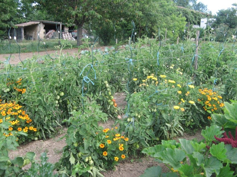 les jardins poussent Img_0811