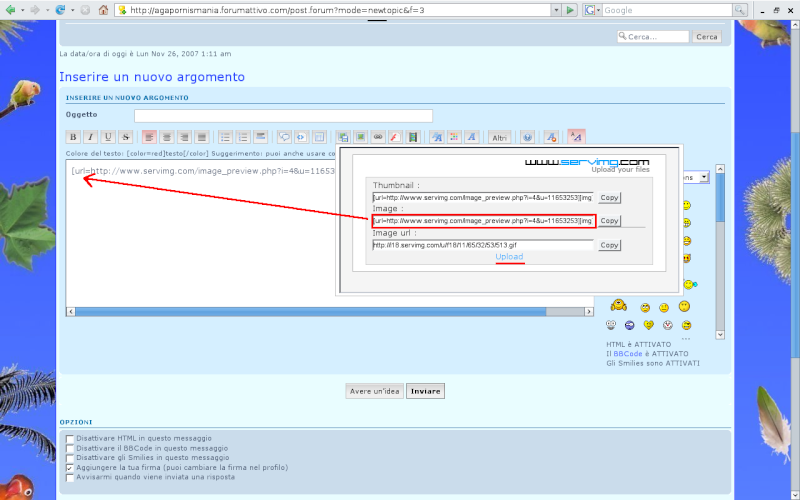 Inserimento immagini nel Forum Inser_11