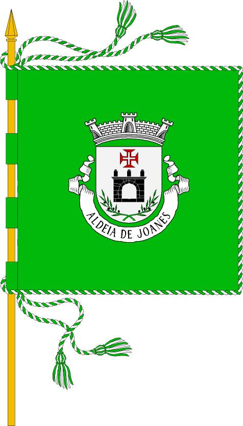 Brasão e Bandeira Aldeia11