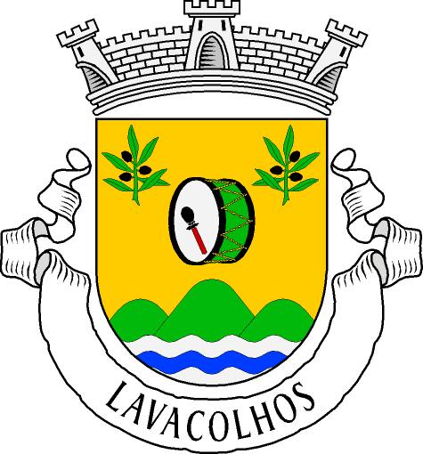 Brazão e Bandeira Lavaco10
