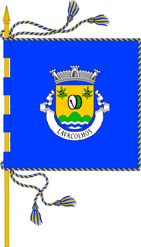 Brazão e Bandeira Lavaco11