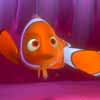 Le Monde de Nemo Corail10