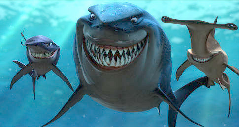 Le Monde de Nemo Requin10
