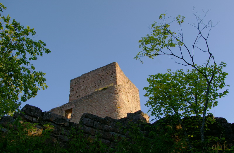 Les Châteaux d' Eguisheim ,  du Hagueneck , du Hohlandsbourg 5_chyt12