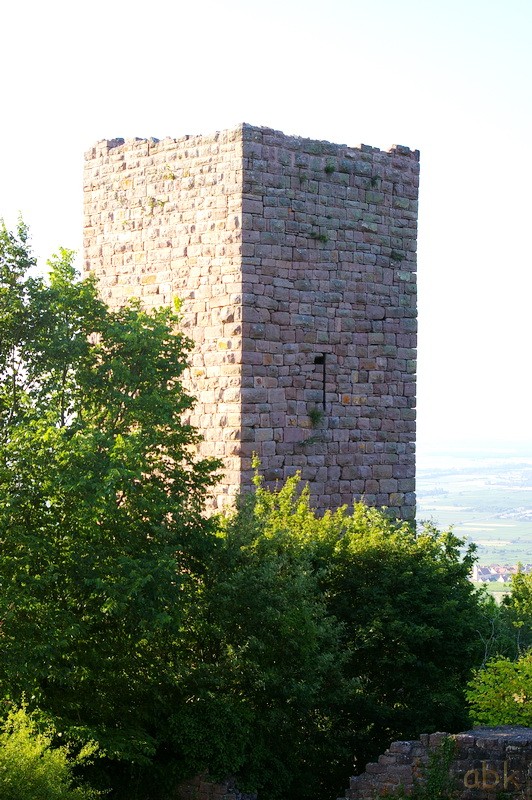 Les Châteaux d' Eguisheim ,  du Hagueneck , du Hohlandsbourg 5_chyt18