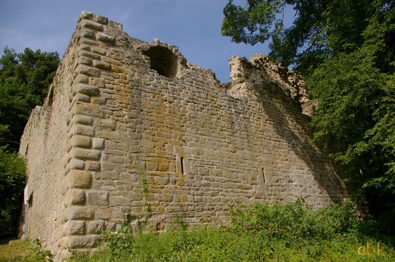 Les Châteaux d' Eguisheim ,  du Hagueneck , du Hohlandsbourg 5_chyt28