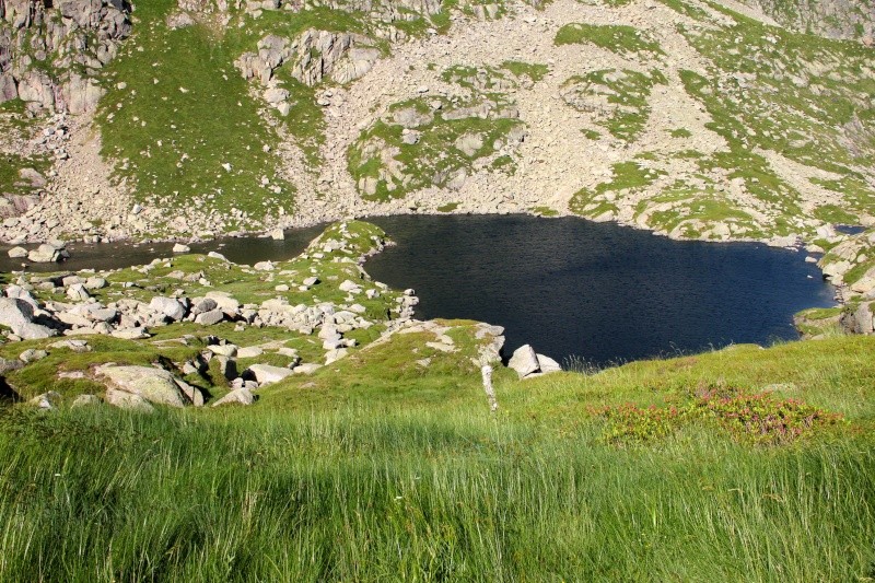 Ariège, terre sauvage... Img_2920