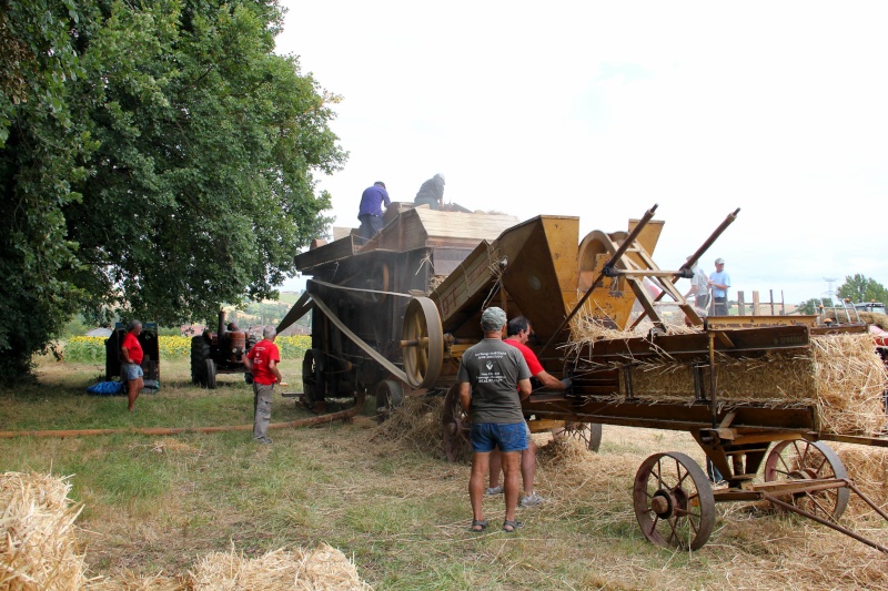 Fête champêtre du Val de Lèze Img_3234