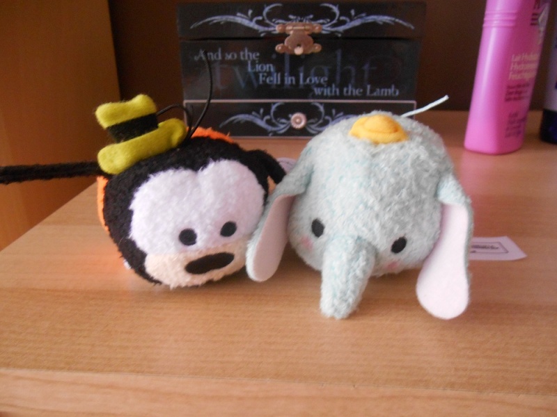 412154150188 - Peluches Tsum-Tsum - Page 32 Dscn2110