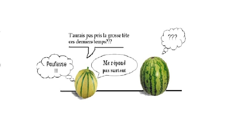 MASTERCHEF 2015 ... SAISON V ... SEMAINE V ... - Page 4 Melon-10
