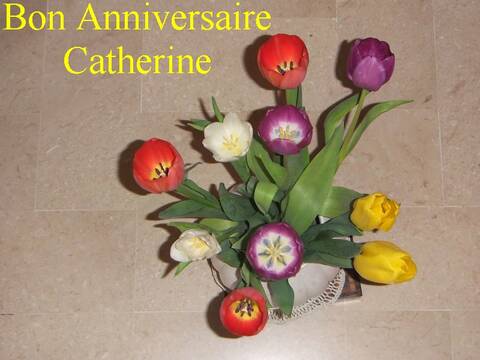 Joyeux Anniversaire Catherine Joyeux Anniversaire Catherine