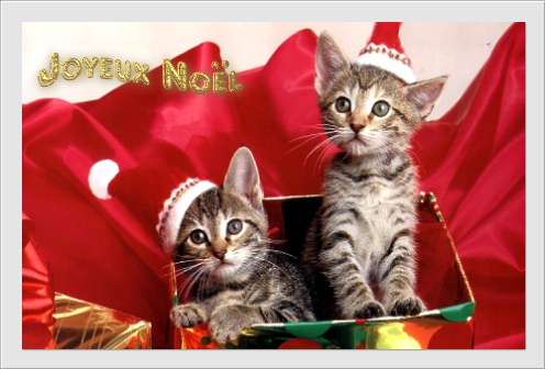 Joyeux Noel Noel-010