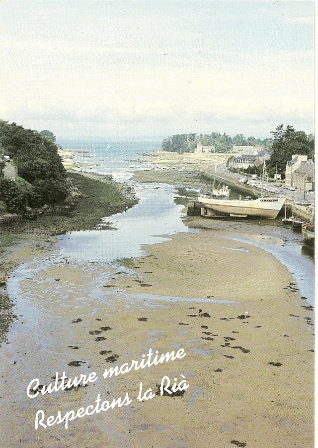 [Vie des ports] LE PORT DE DOUARNENEZ - Page 3 Numari16