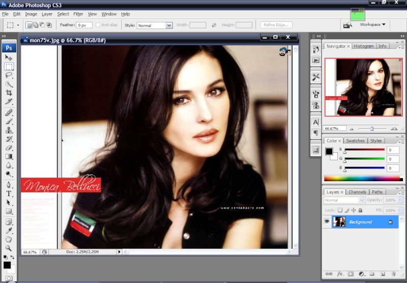 Adobe Photoshop CS3+Full+1200 Shape+370 Manzara+Lisans Patch Workin10
