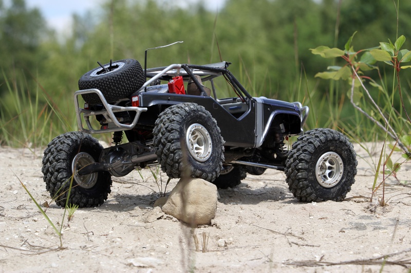 Axial Wraith Aureli1. Img_1911