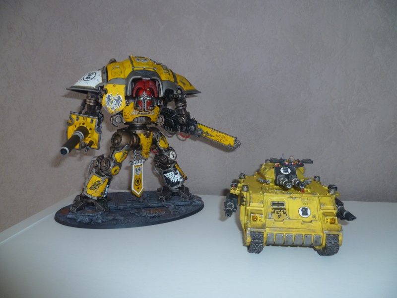 [CDA 2015] - Force imperial fist  - Darkvadid. - Page 3 P1030515