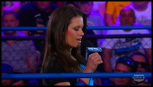 Paige Vs Nikki Bella Vs Brooke | Divas Championship Normal10
