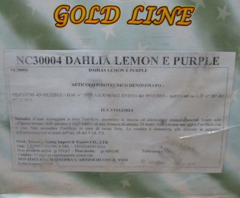 DAHLIA LEMON E PURPLE 01410