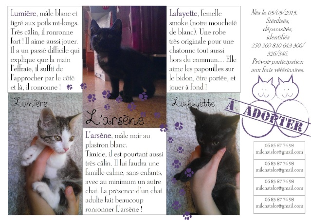 Lumière, L'arsène et Lafayette, 05-05-15, Mil'chats'Lor Affich11