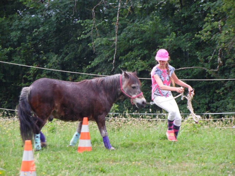 OURAGAN - Poney Shetland né en 1991 - adopté en juillet 2009 par malik70 Ouraga14