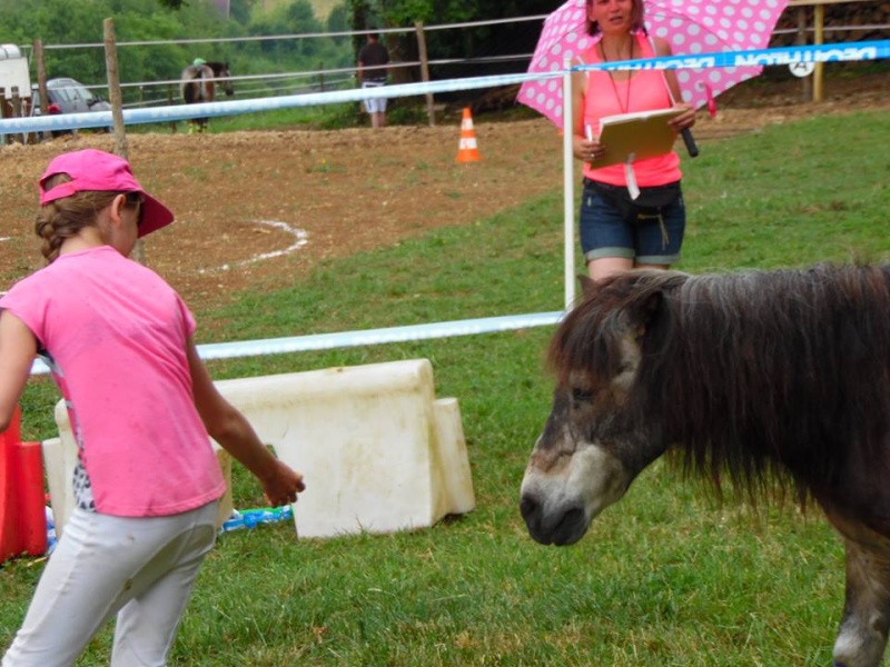 OURAGAN - Poney Shetland né en 1991 - adopté en juillet 2009 par malik70 Ouraga15