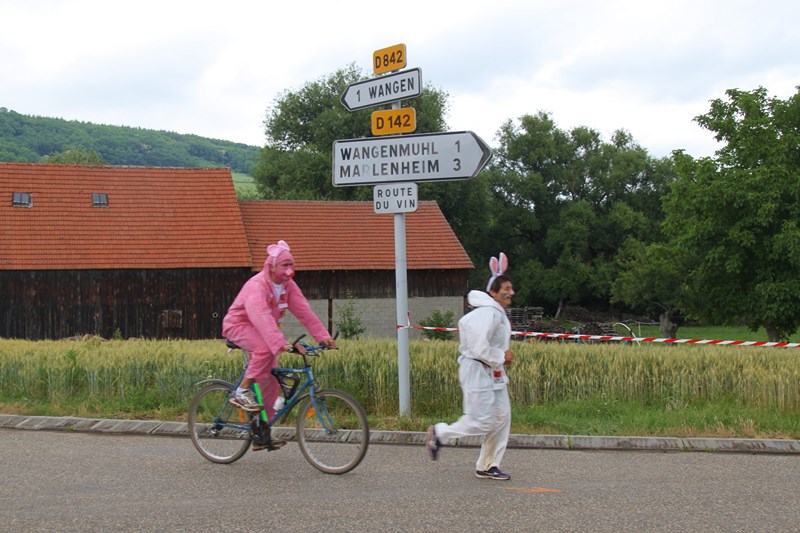 11 ème édition du Marathon du Vignoble d'Alsace et son passage à Wangen le 21 juin 2015 Img_8510